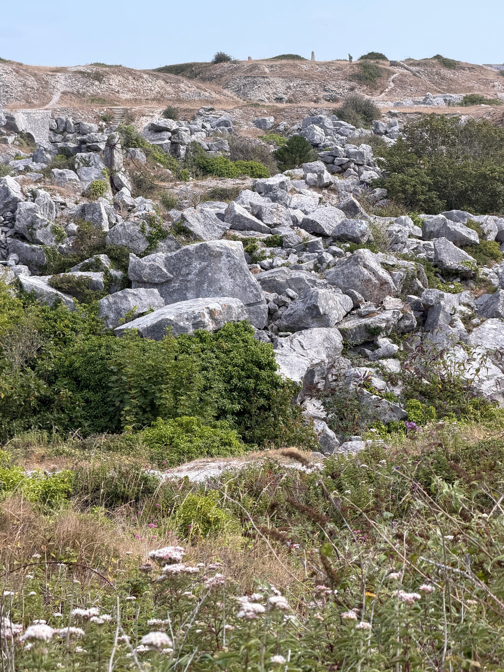 Portland Shards - Tout Quarry