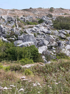Portland Shards - Tout Quarry