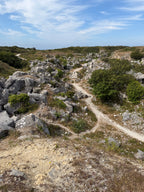 Raw & Weathered Portland Stone - Tout Quarry
