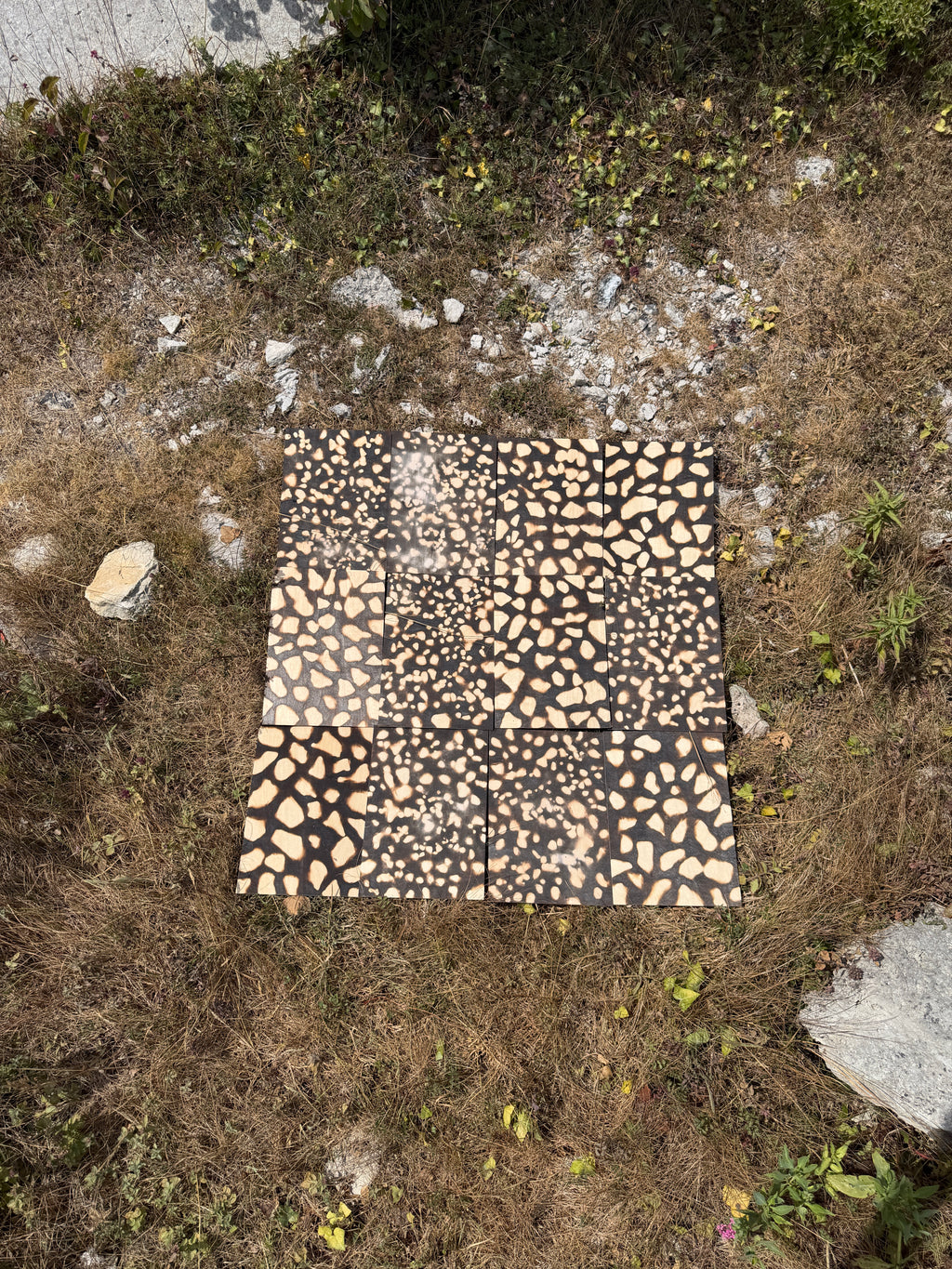 Raw & Weathered Portland Stone - Tout Quarry