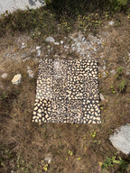 Raw & Weathered Portland Stone - Tout Quarry