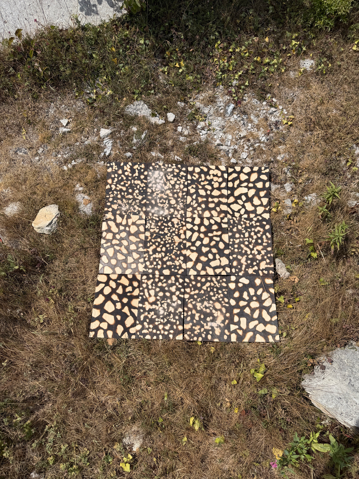 Raw & Weathered Portland Stone - Tout Quarry