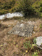 Raw & Weathered Portland Stone - Tout Quarry