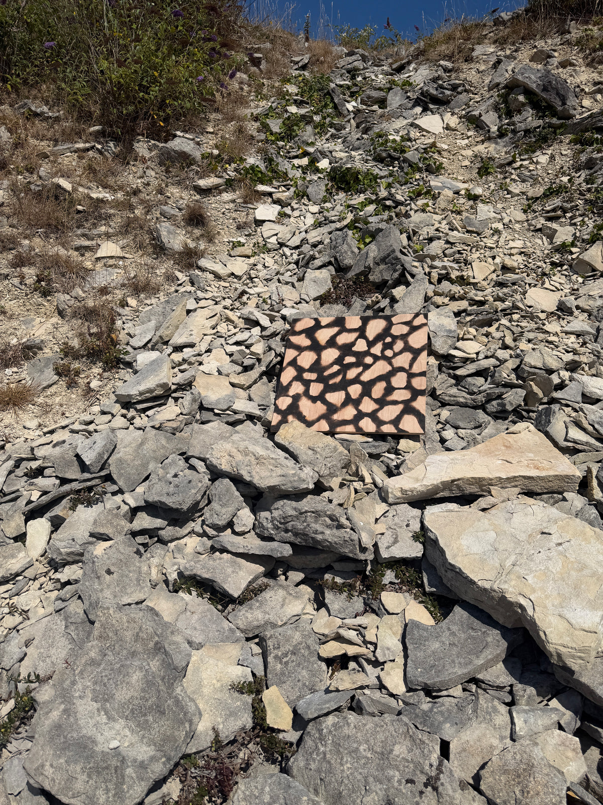 Portland Shards - Tout Quarry