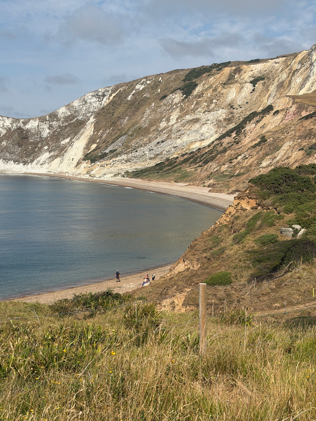 Purbeck Coast Shingle - Warbarrow Bay