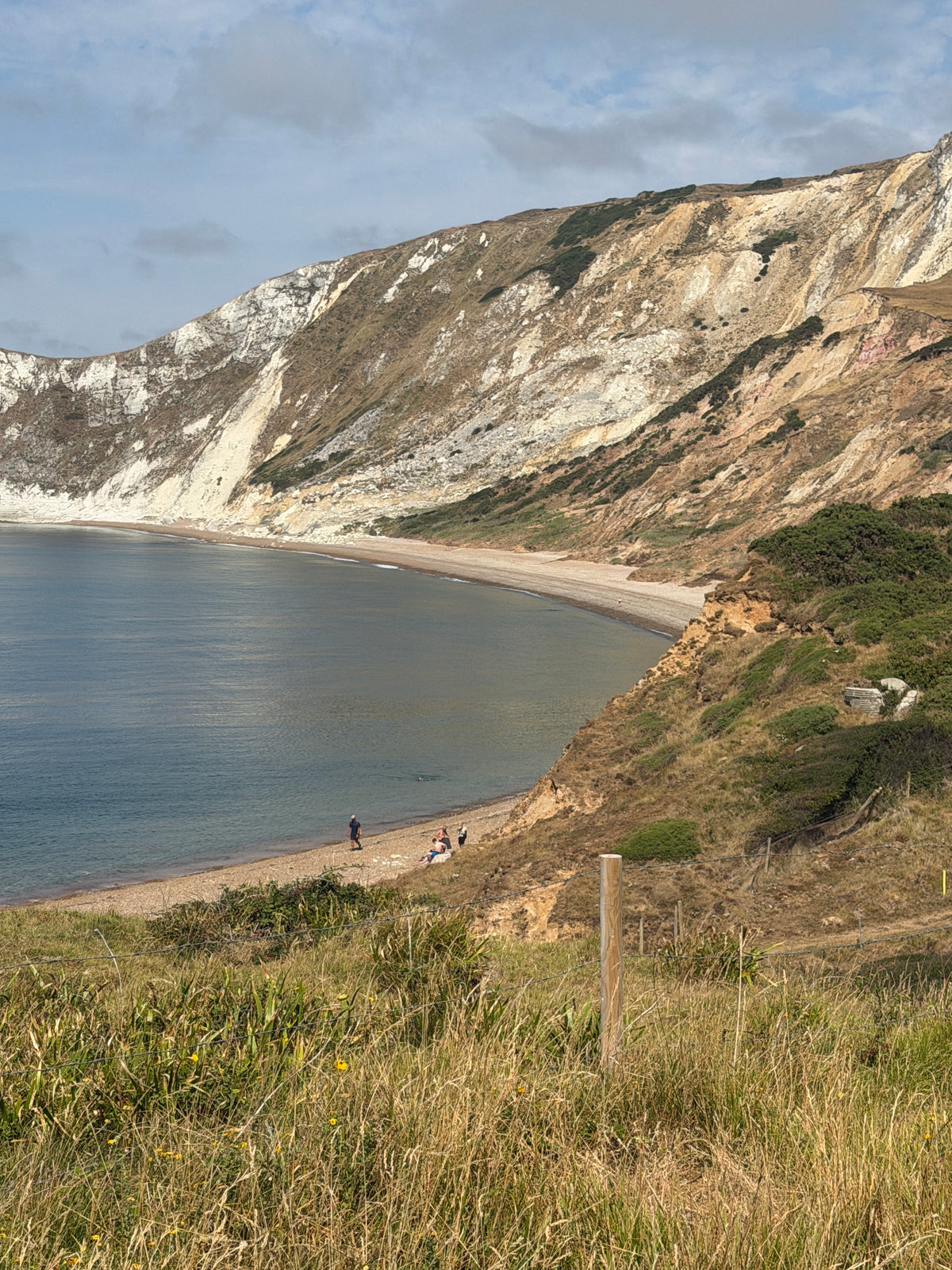 Purbeck Coast Shingle - Warbarrow Bay