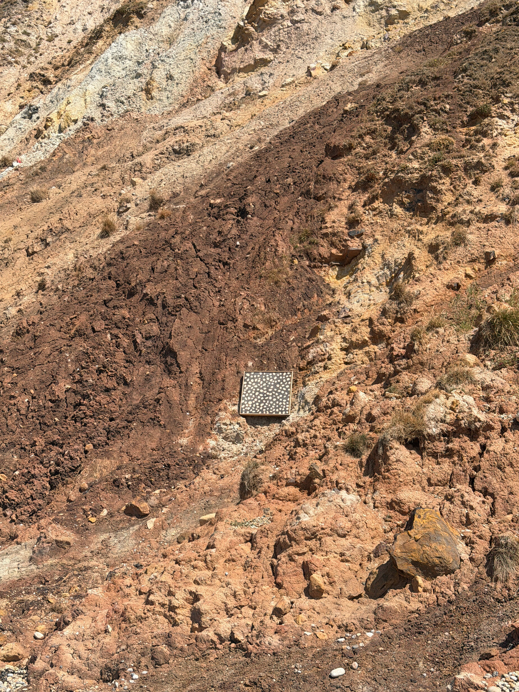 Purbeck Coast Shingle - Warbarrow Bay
