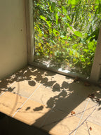 THE FRAGILE HOUSE