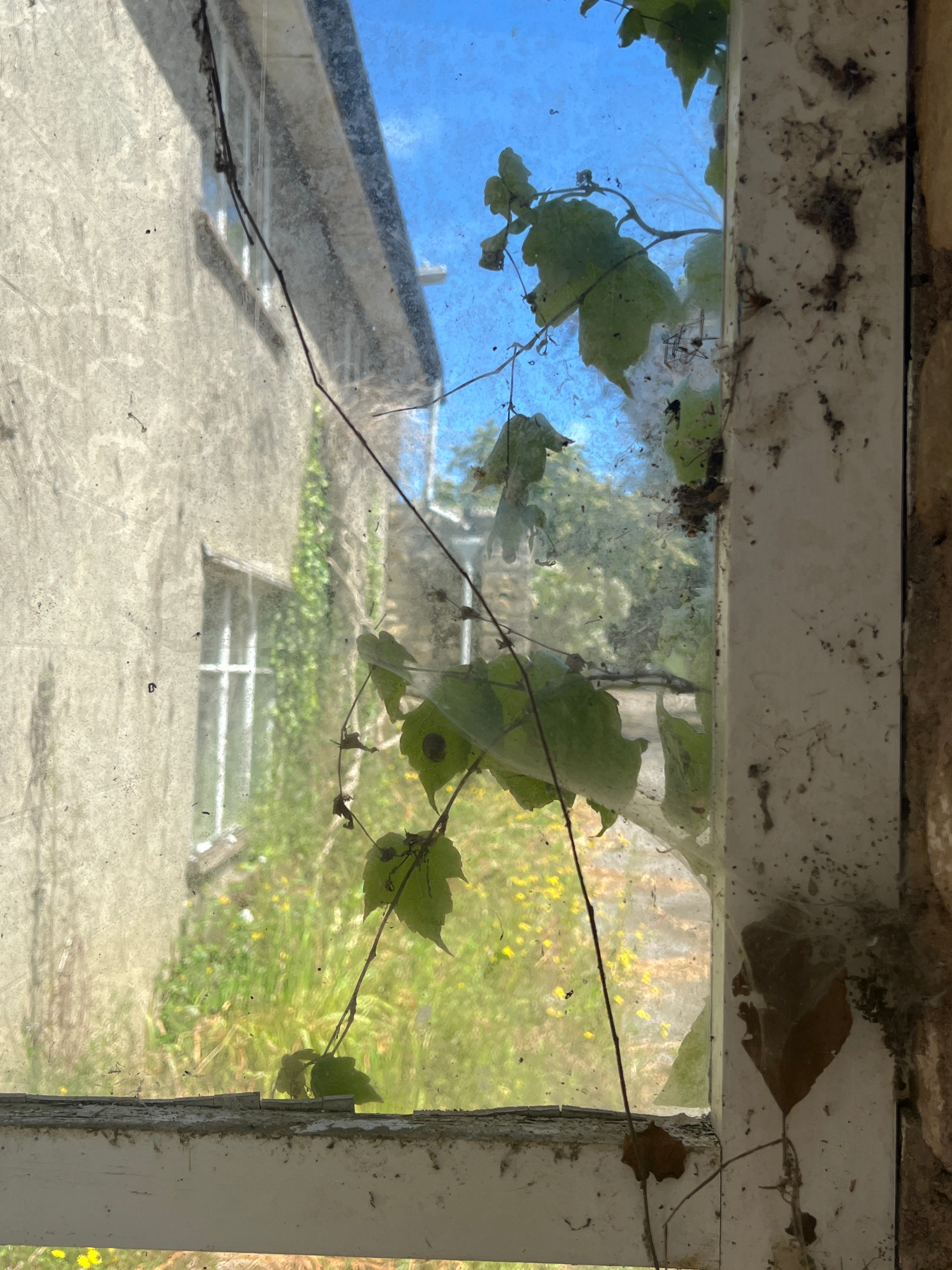 THE FRAGILE HOUSE