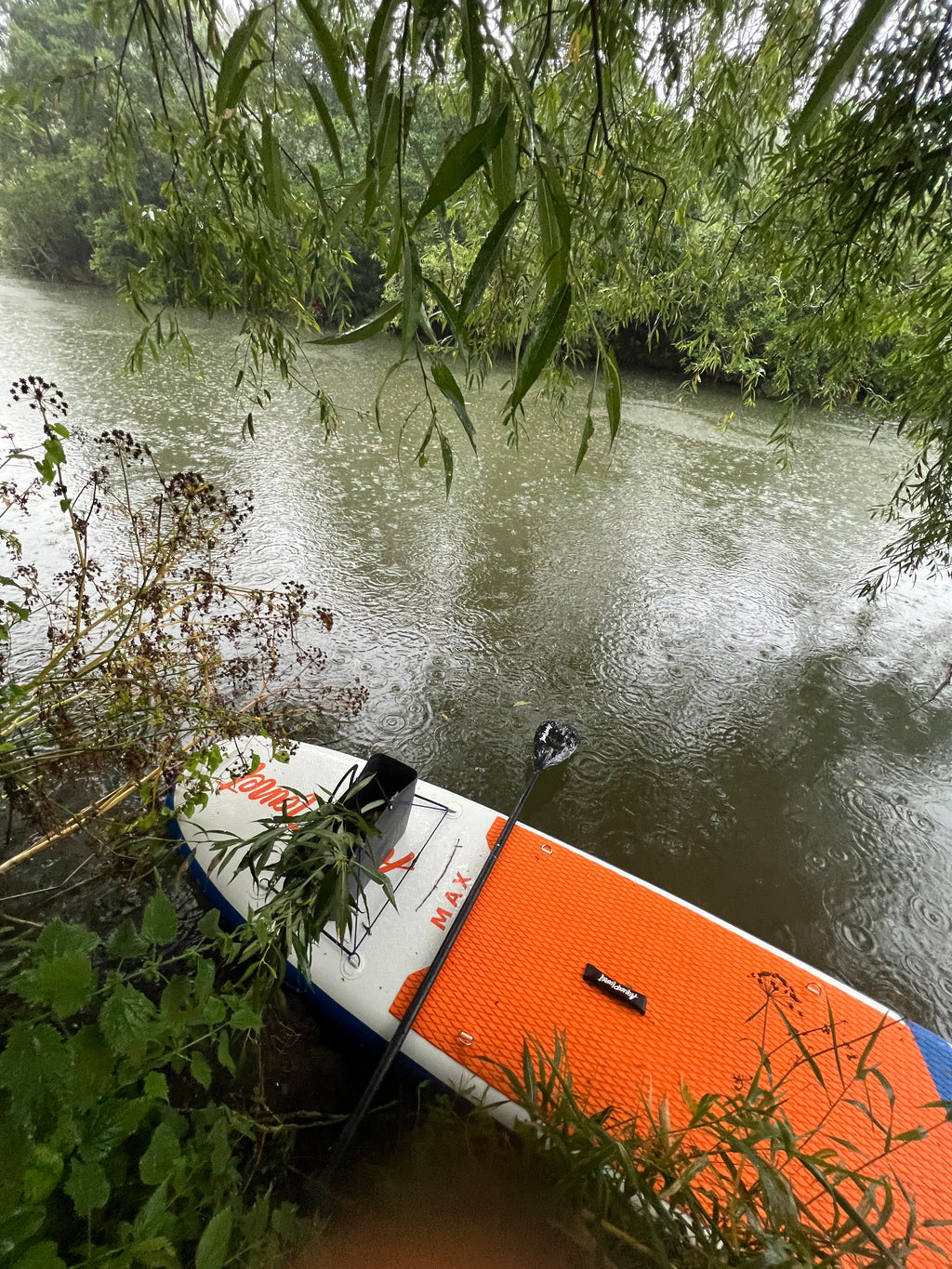 WILLOW IN THE STORM