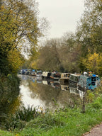 AUTUMN HAZEL ALONG THE CANAL