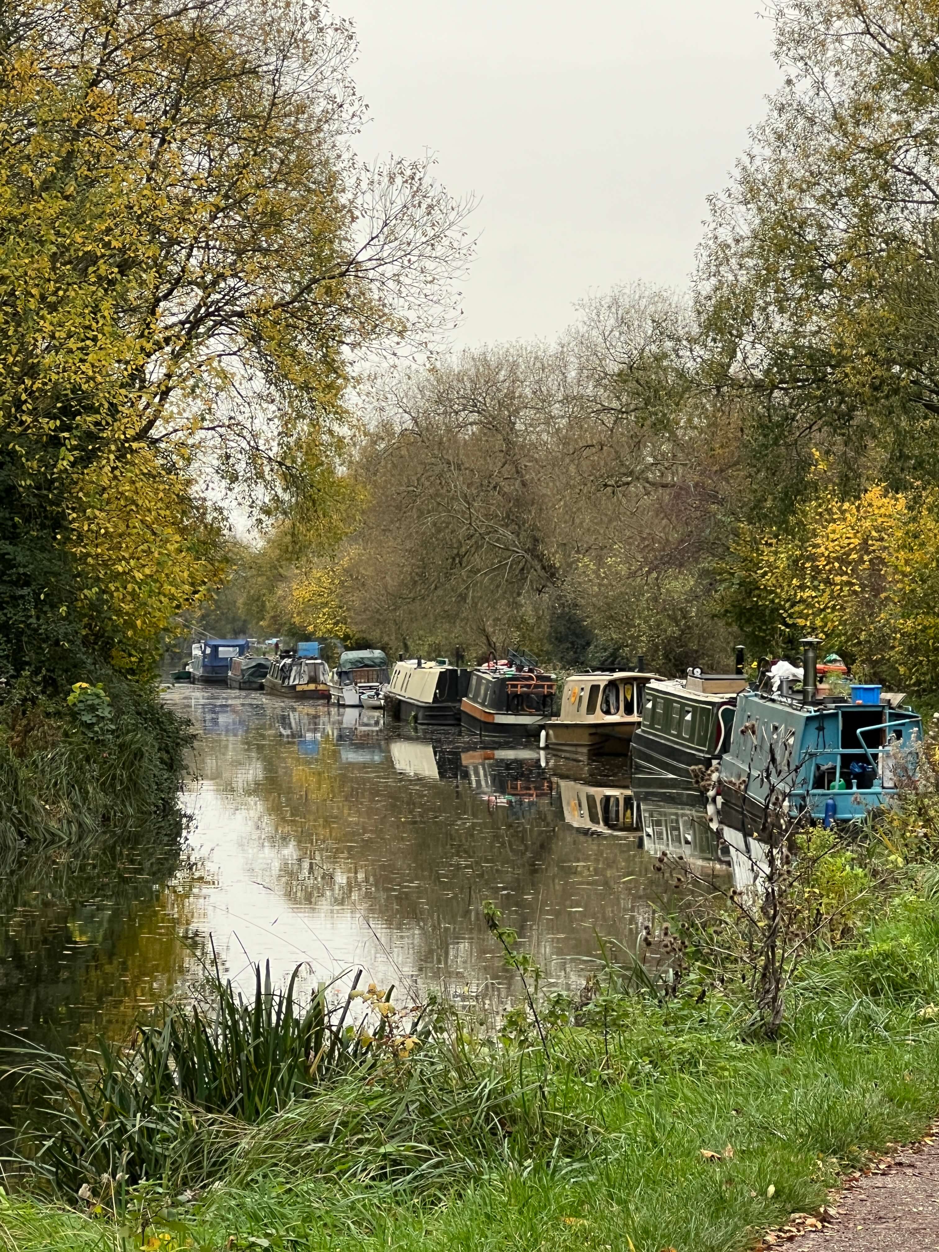 AUTUMN HAZEL ALONG THE CANAL