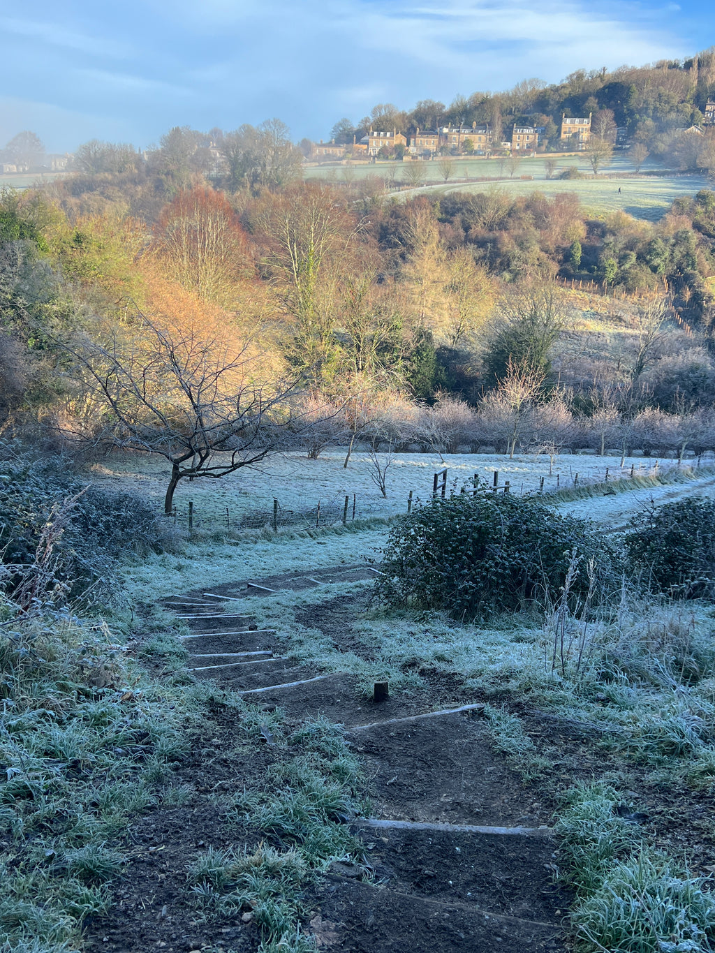SMALLCOMBE NUTTERY COBNUT - WINTER
