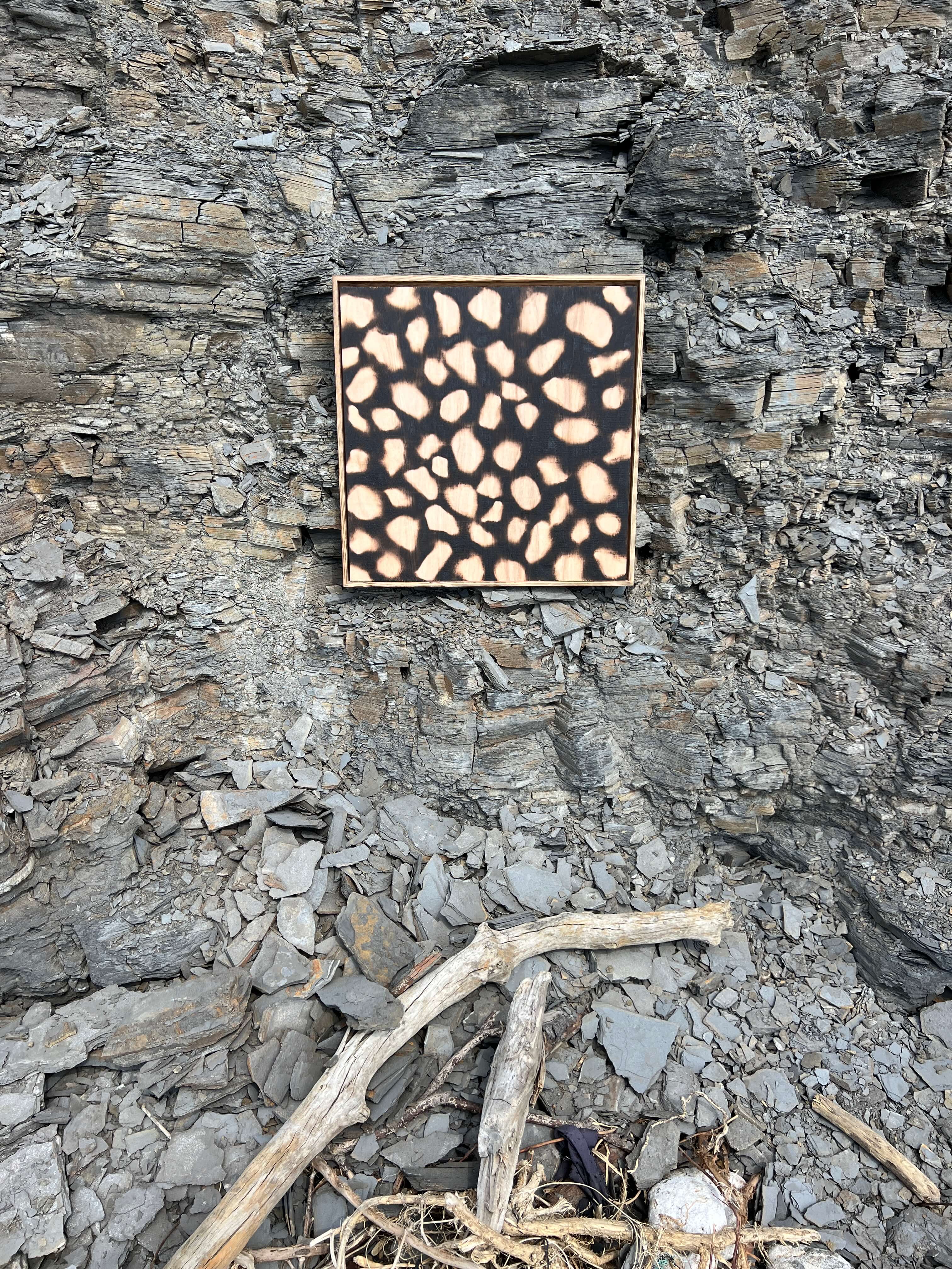 CLIFF STONE - BLACK VEN