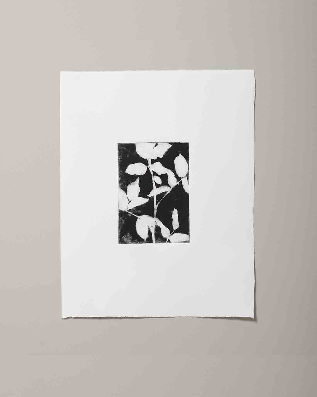 DAN AND HUW ROSE 1