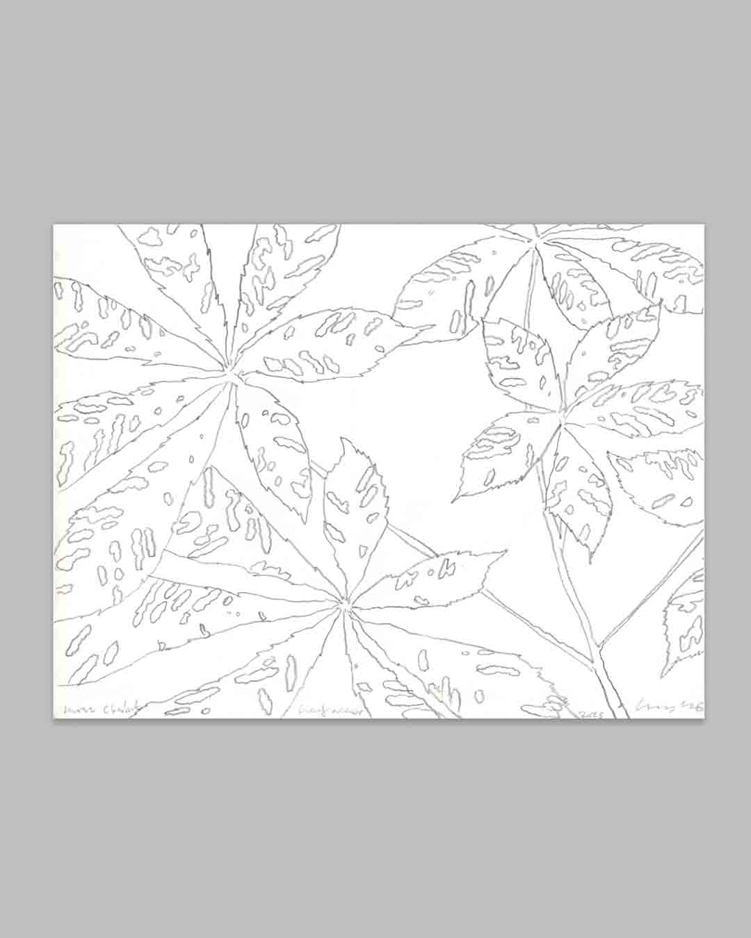 HORSE CHESTNUT LEAF MINER