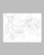 SMALLCOMBE NUTTERY QUINCE - SPRING
