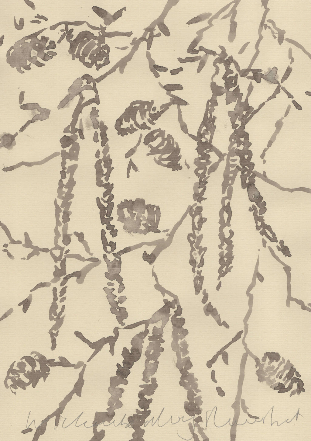 ITALIAN ALDER ALONG THE RIVERBANK