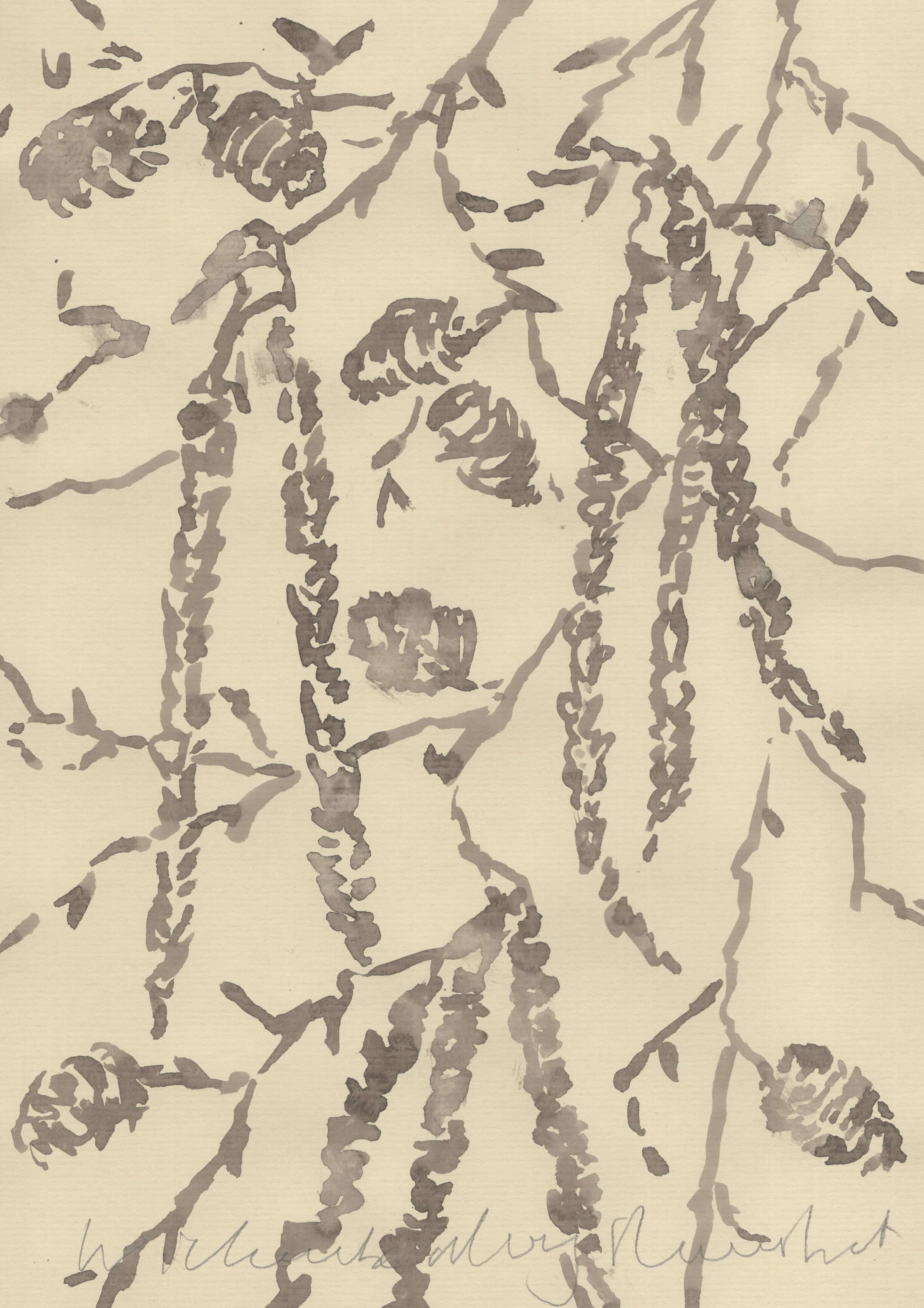 ITALIAN ALDER ALONG THE RIVERBANK