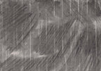 Late October Wind and Rain