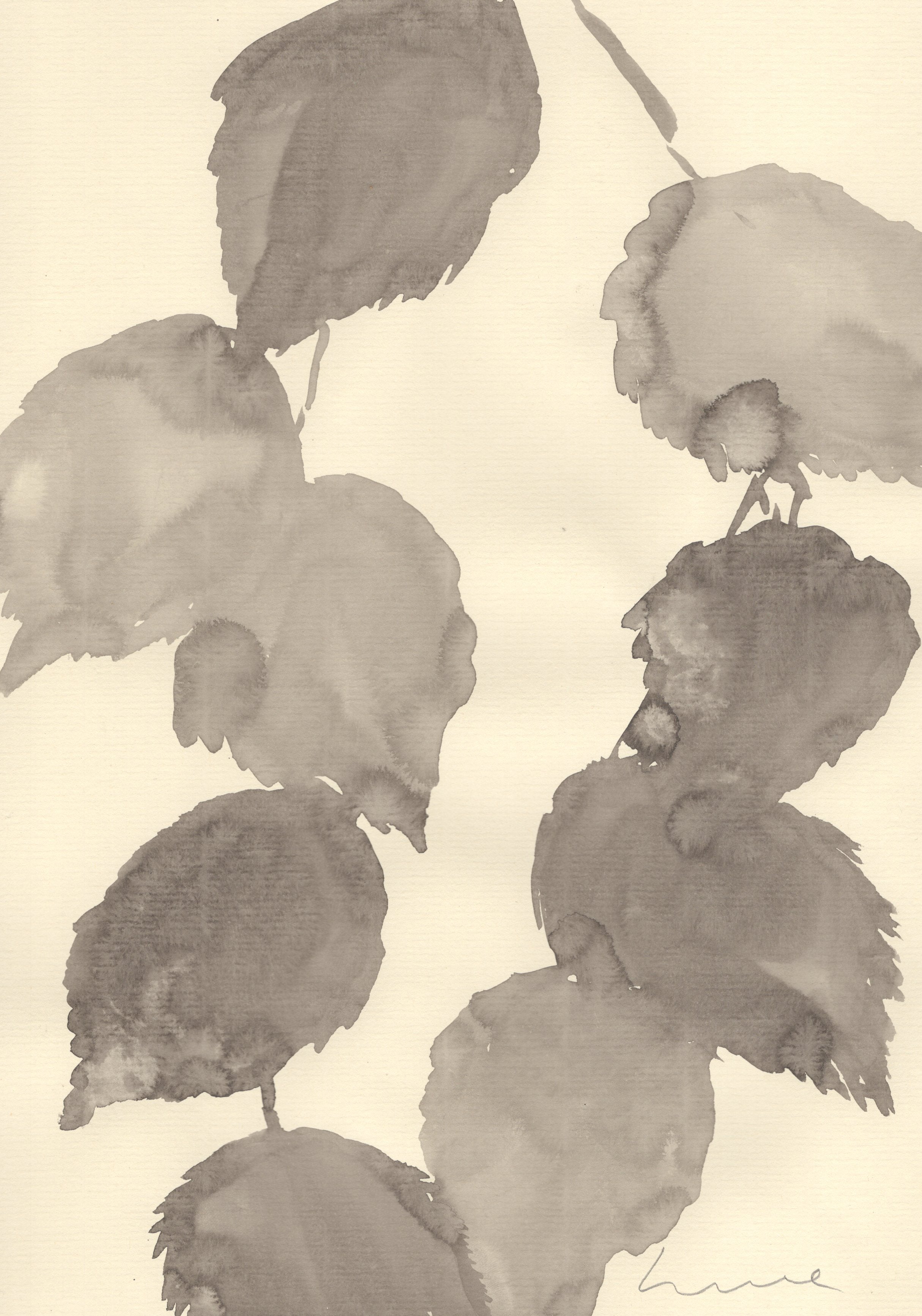 MONOCHROME AUTUMN - LIME