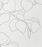 LIME LEAVES
