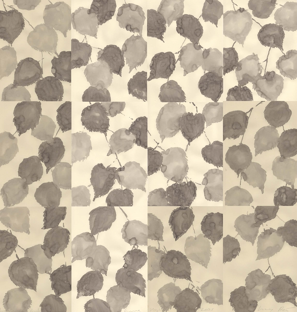 Monochrome Autumn — Lime, original sumi ink painting on Italian paper by Lucy Augé, 96 x 92cm. Abstract botanical artwork depicting lime leaves in grey tones, Bath Somerset artist.