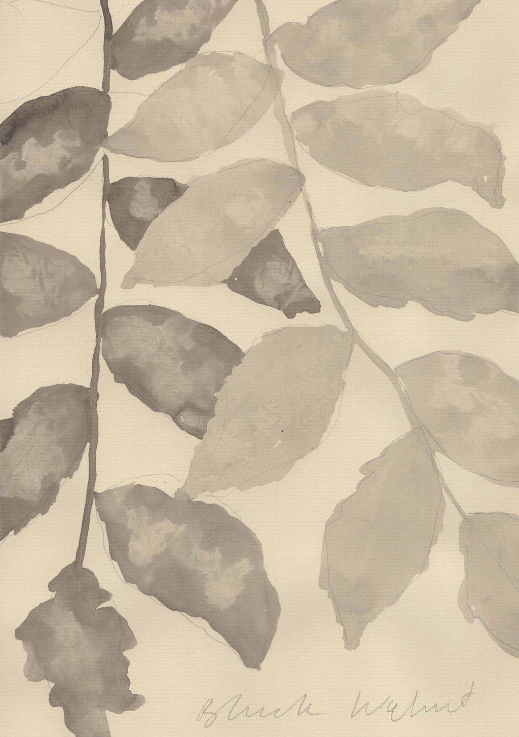 MONOCHROME AUTUMN - BLACK WALNUT