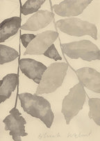 MONOCHROME AUTUMN - BLACK WALNUT