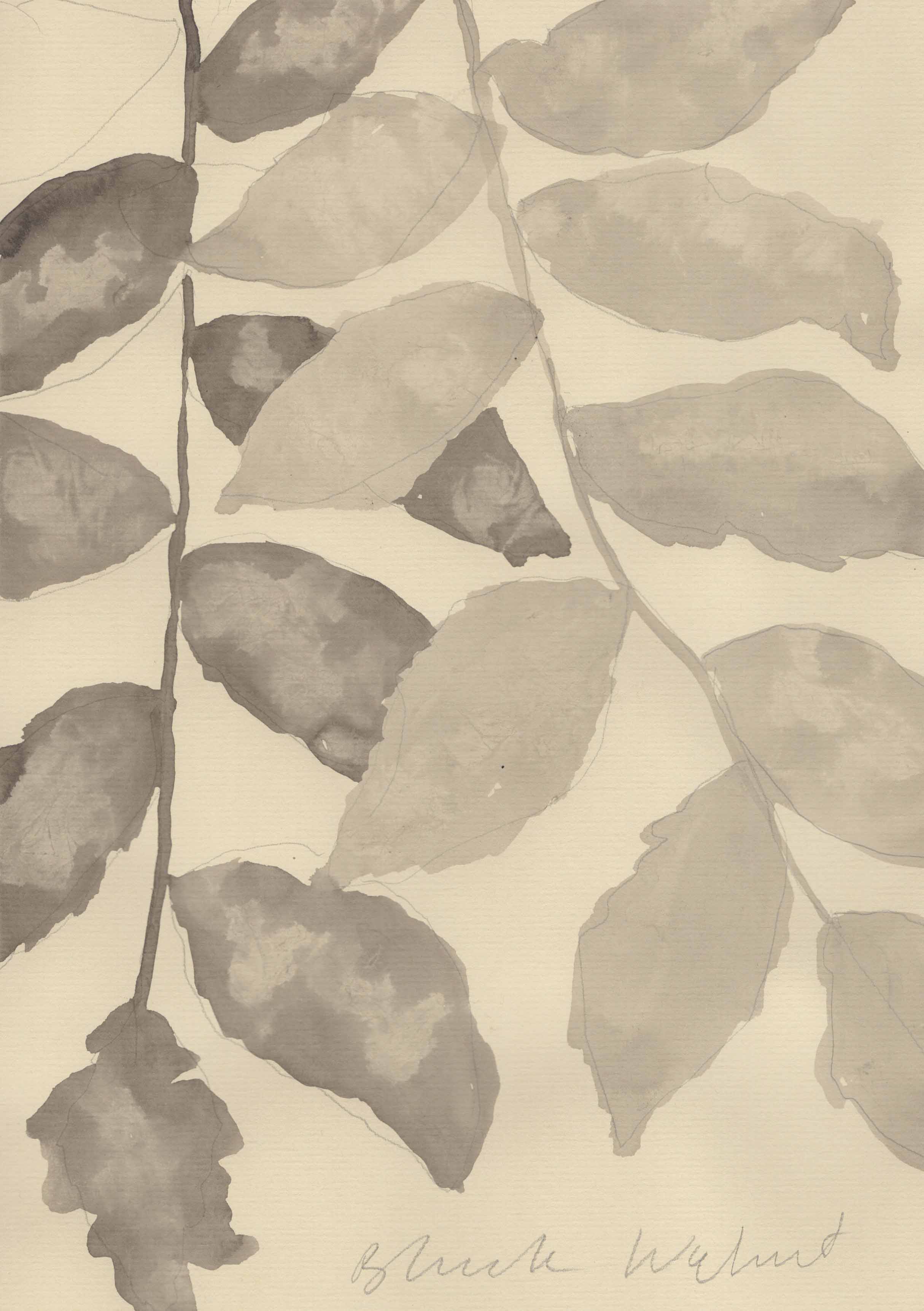 MONOCHROME AUTUMN - BLACK WALNUT