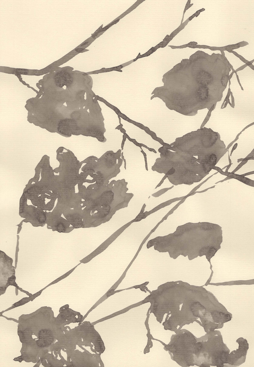 HAZEL - FALSE AUTUMN