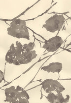 HAZEL - FALSE AUTUMN