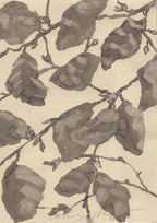 THE LIGHT ON IRONWOOD LEAVES