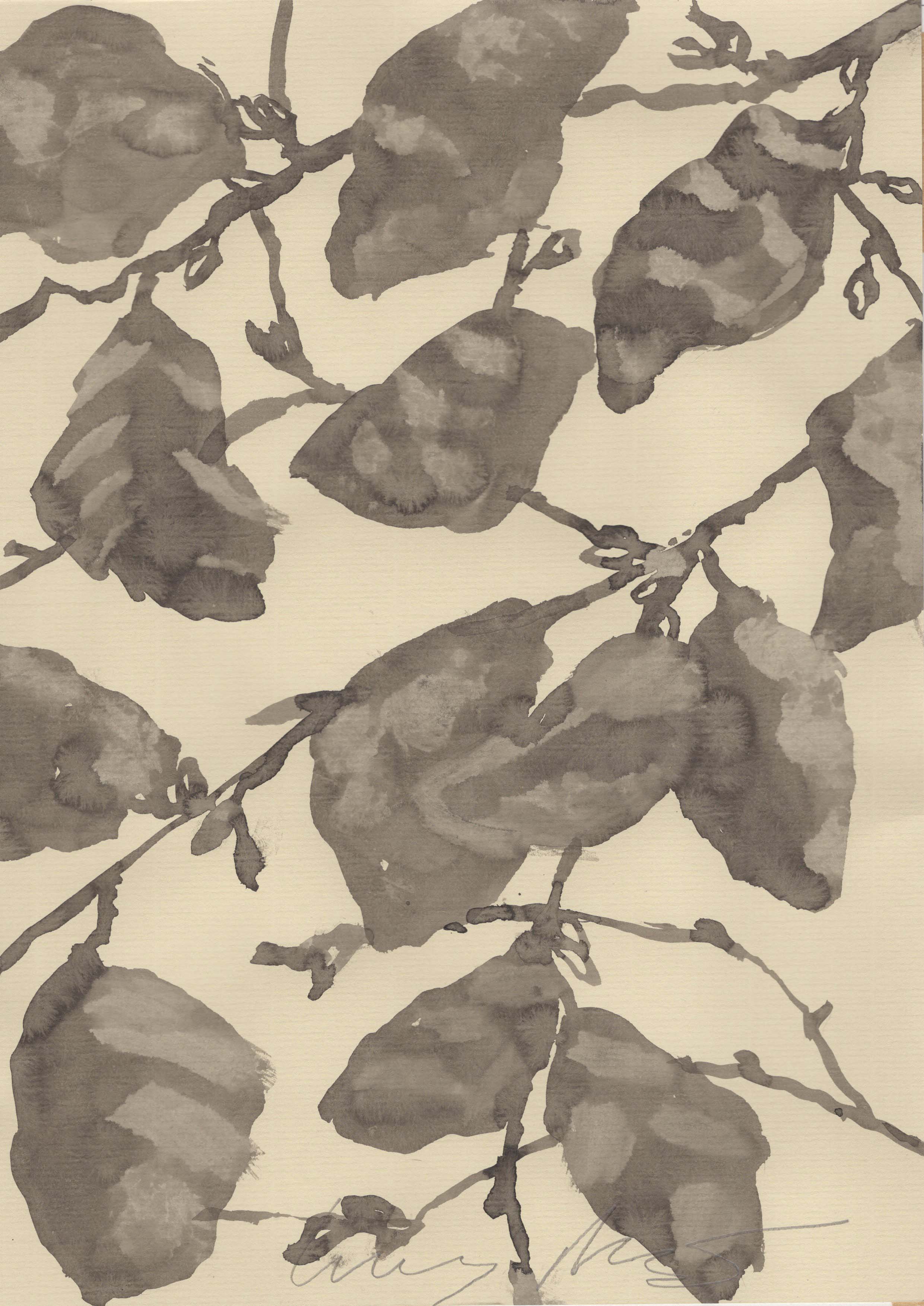 THE LIGHT ON IRONWOOD LEAVES