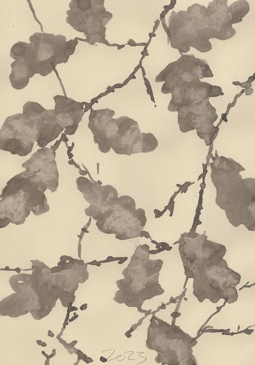 OAK IN WINTER