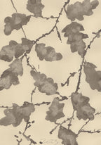OAK IN WINTER