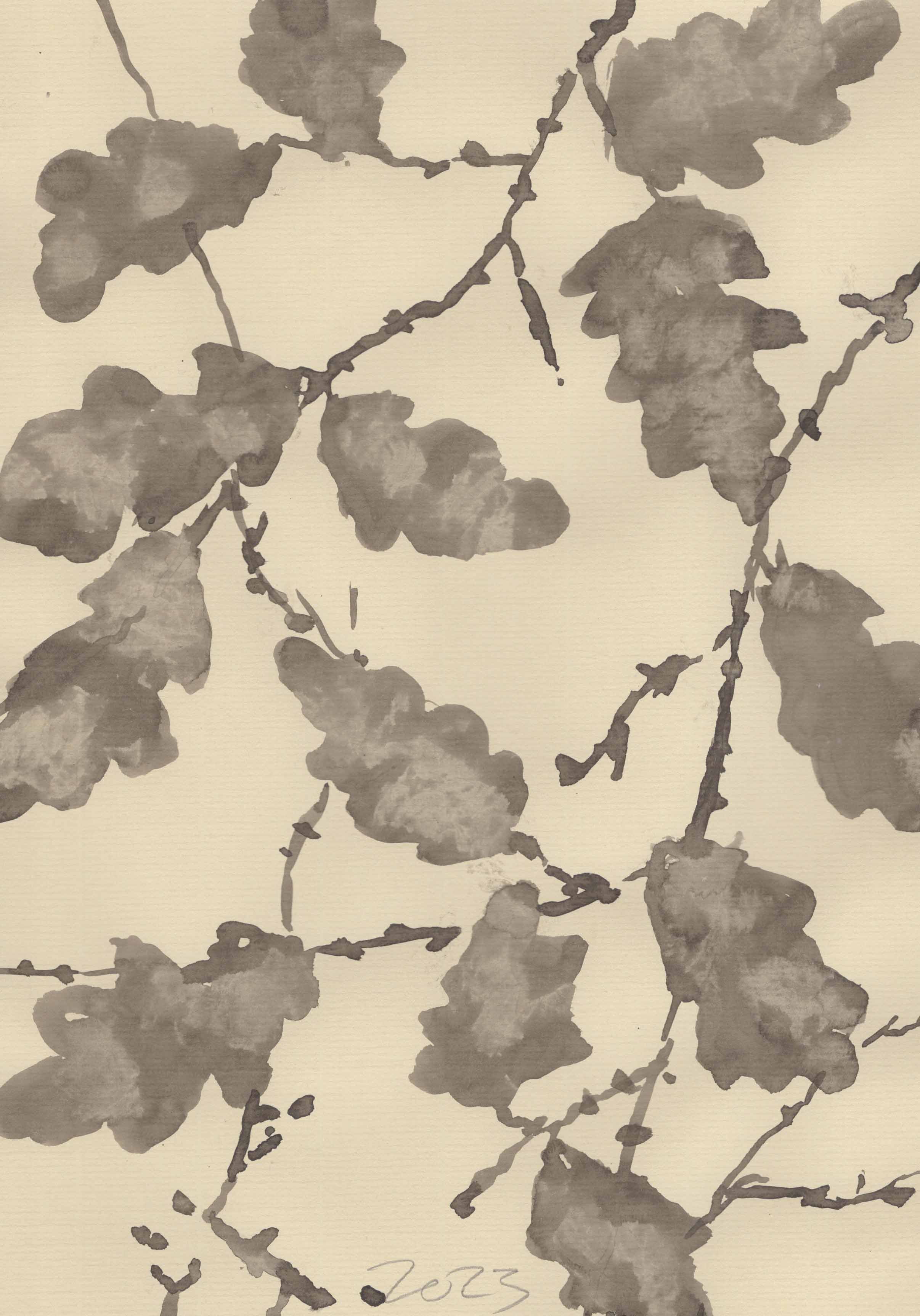OAK IN WINTER