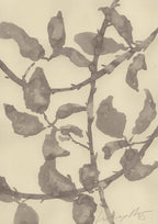 TWISTING BRAMBLES