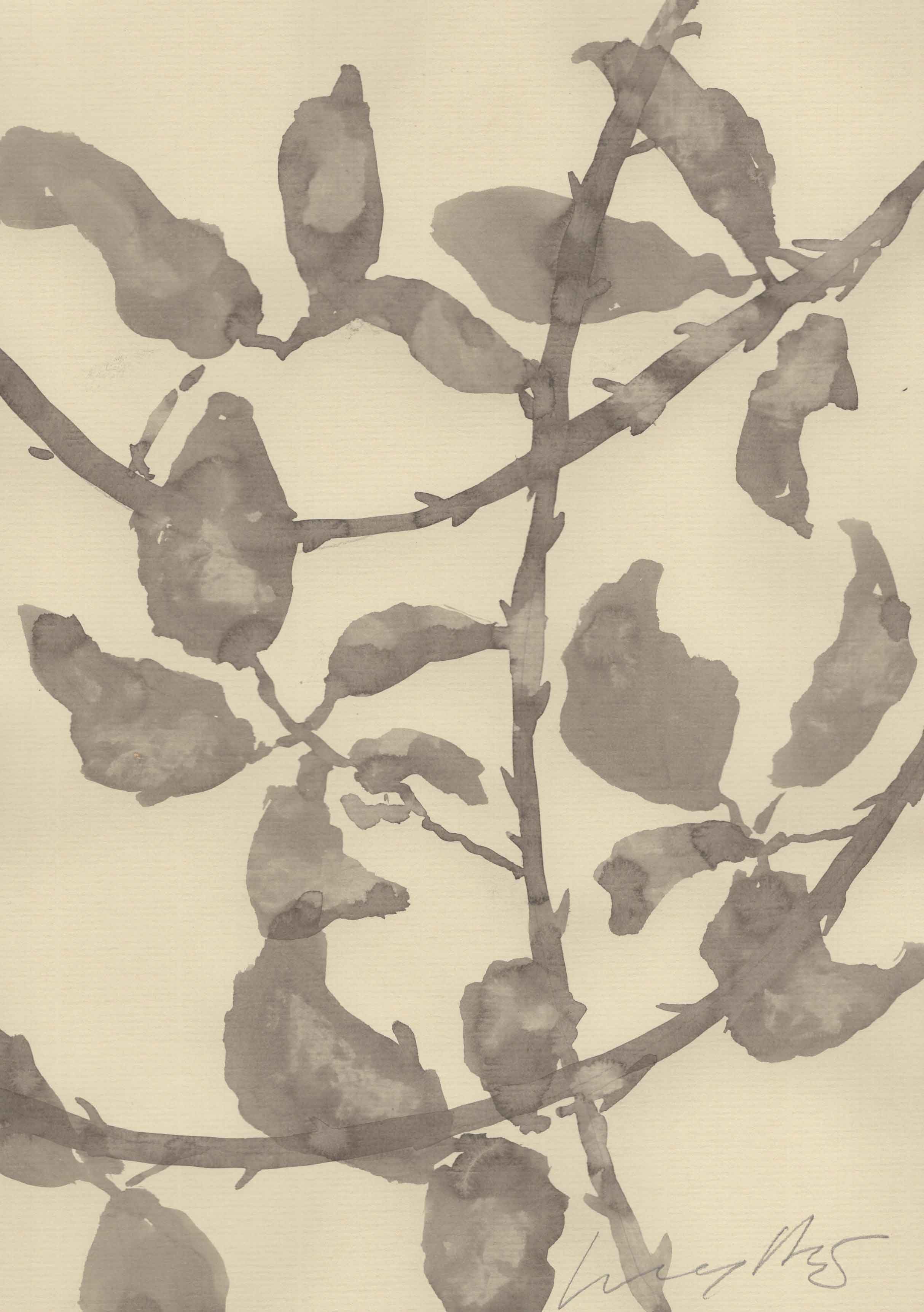TWISTING BRAMBLES