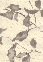 BEECH IN THE WIND AND RAIN