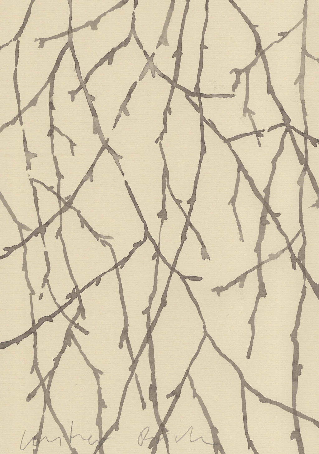 BIRCH IN WINTER