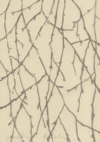 BIRCH IN WINTER