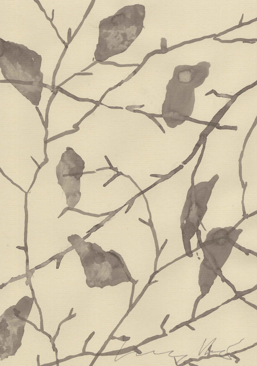 A WINTER CANOPY