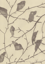 A WINTER CANOPY