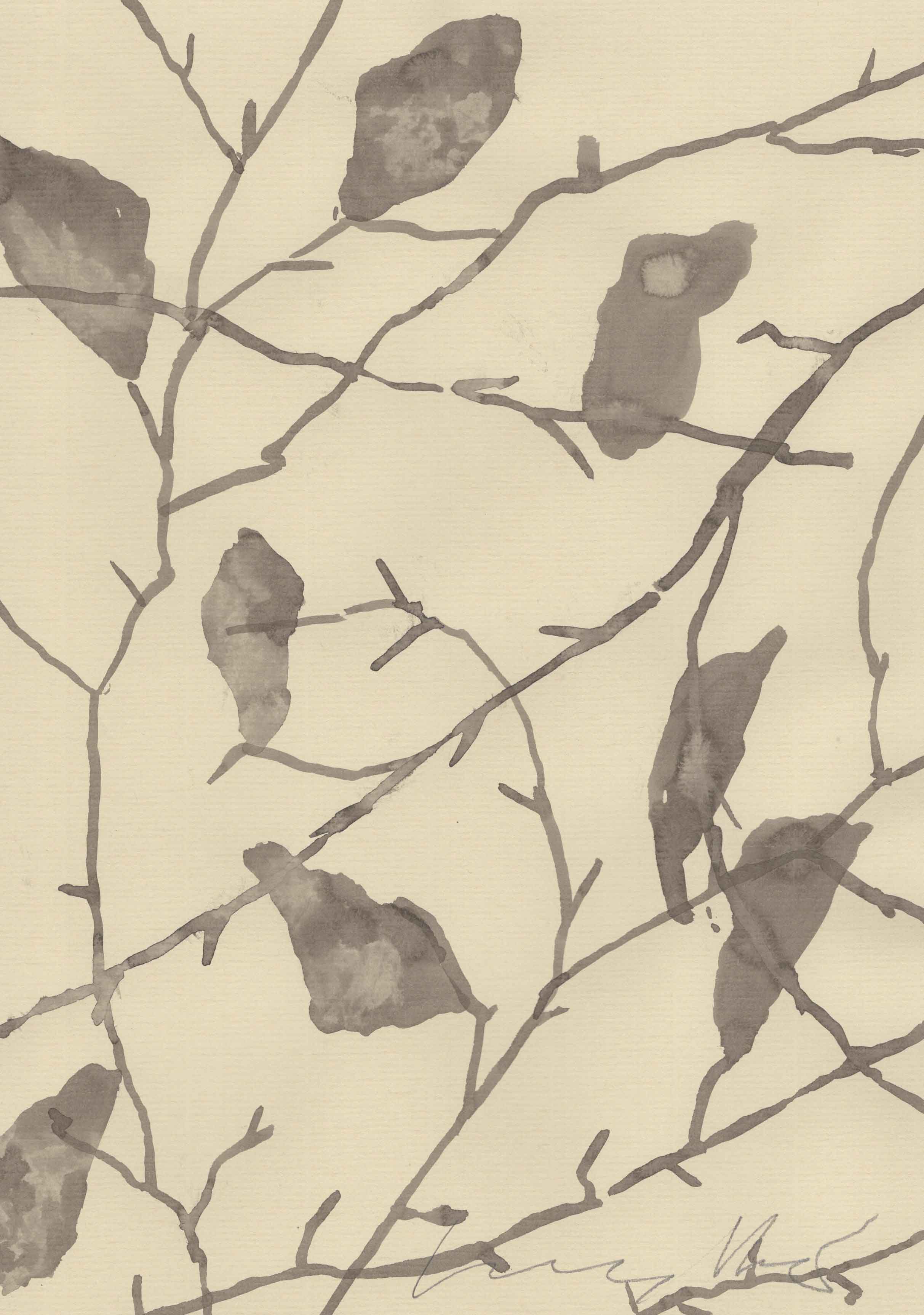 A WINTER CANOPY