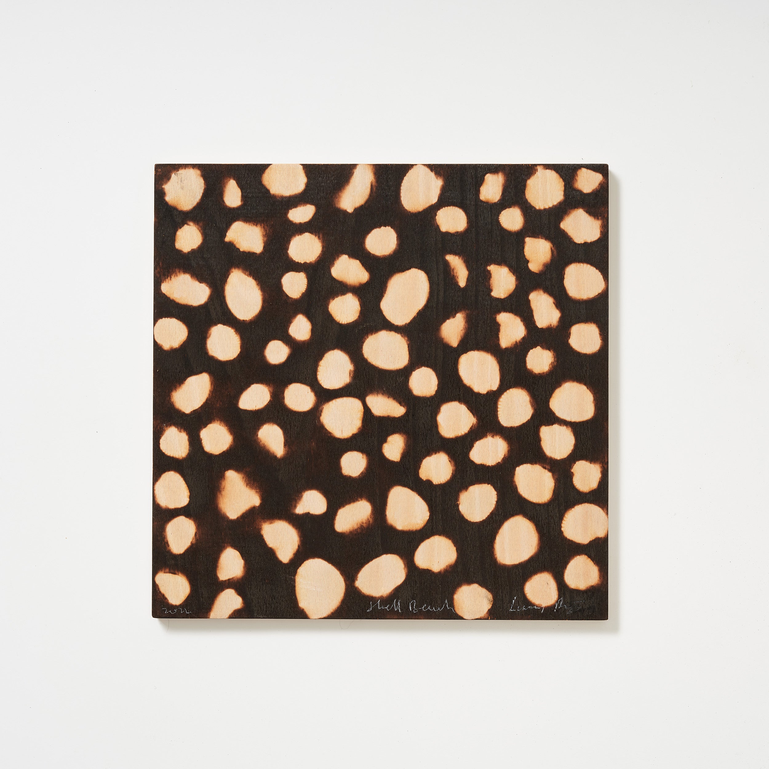 SHELL BEACH PANEL 2