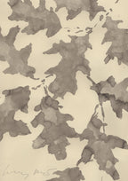 OAKS AT THE PORTUGUESE MARKET