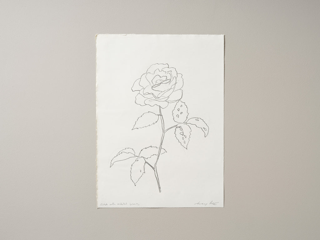ROSE WITH NIBBLED LEAVES