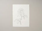 ROSE WITH NIBBLED LEAVES
