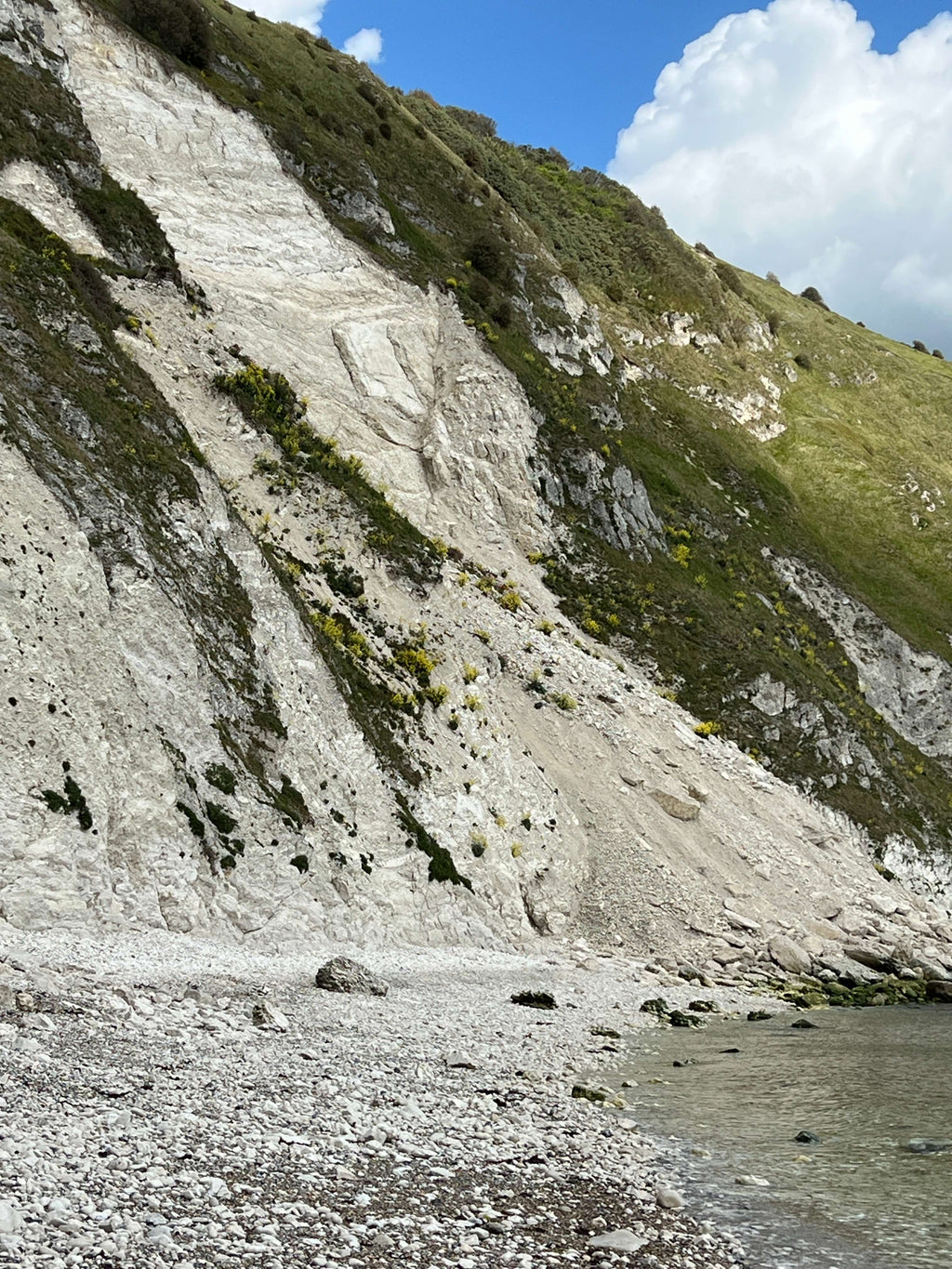 CHALK AND FLINT - LULWORTH COVE